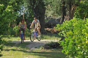 thumbnail: Bicycling