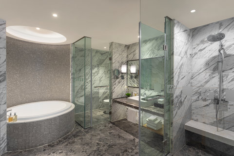 1 Bedroom Suite Smart Room with wash room