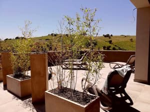 thumbnail: Garden
