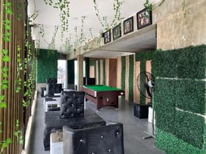 thumbnail: General view