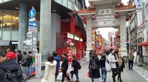 thumbnail: Ecotours