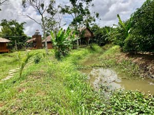 thumbnail: Garden