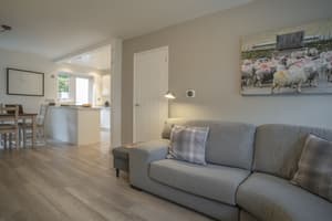 thumbnail: Living room