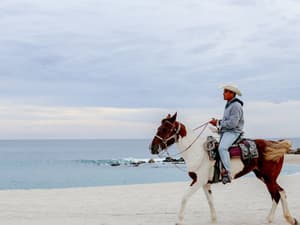 thumbnail: Horseback riding