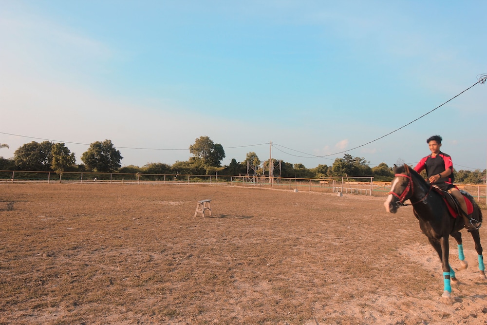 Horseback riding