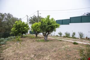 thumbnail: Garden