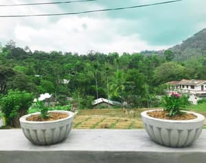 thumbnail: Garden