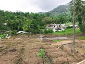 thumbnail: View from property