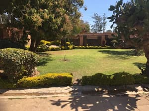 thumbnail: Garden