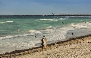 thumbnail: Beach