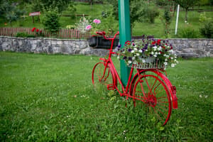 thumbnail: Garden