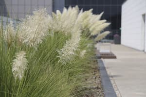 thumbnail: Exterior detail