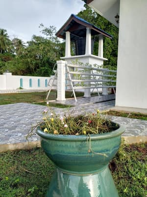 thumbnail: General view