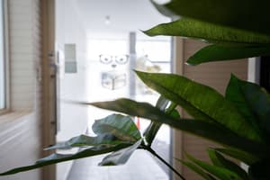 thumbnail: Reception