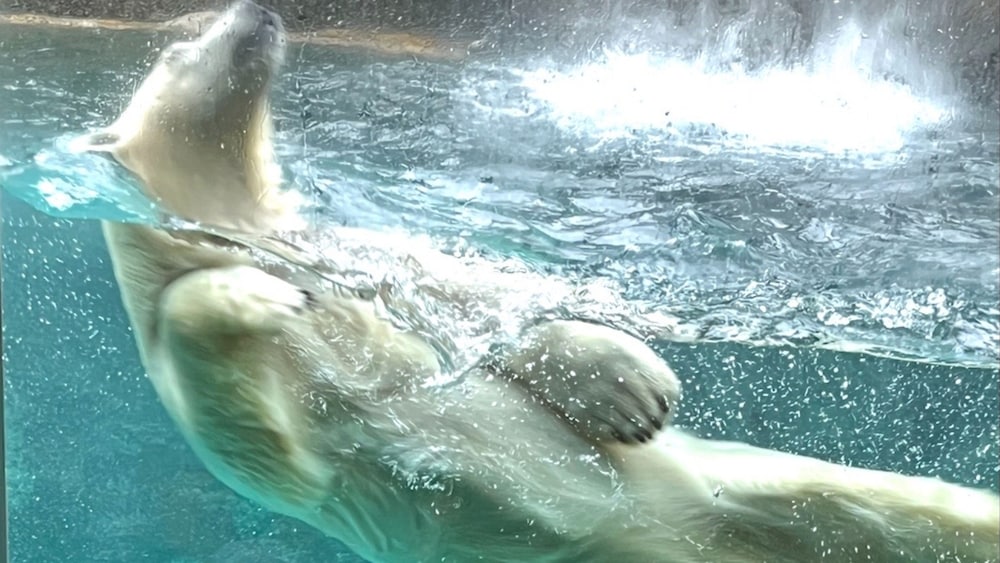 Children's activities