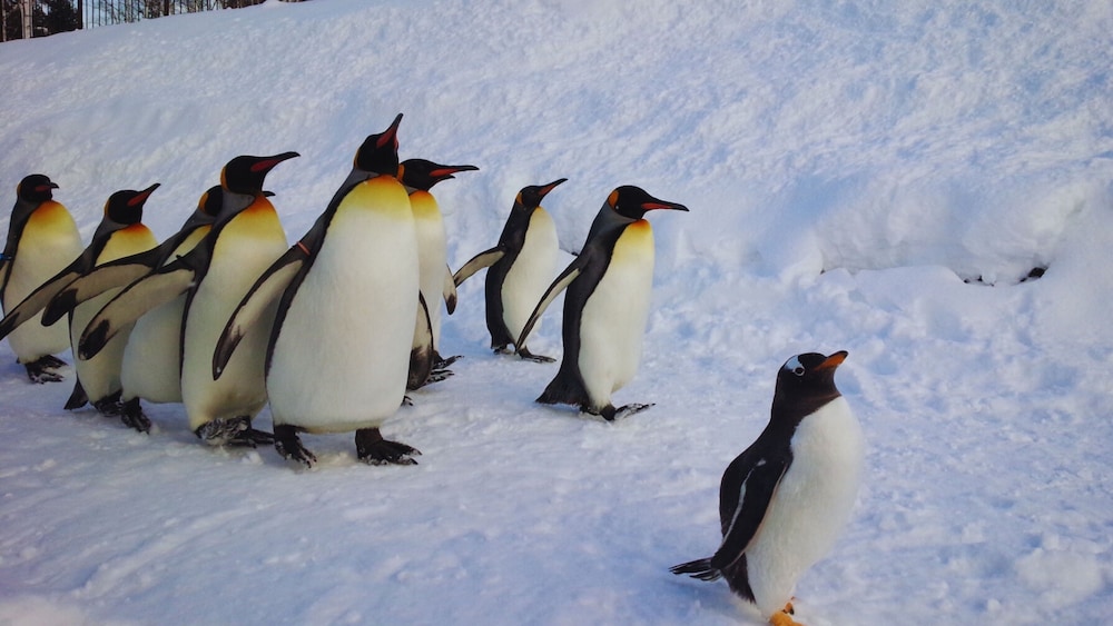 Children's activities