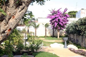 thumbnail: Garden