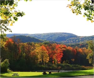 thumbnail: View from property