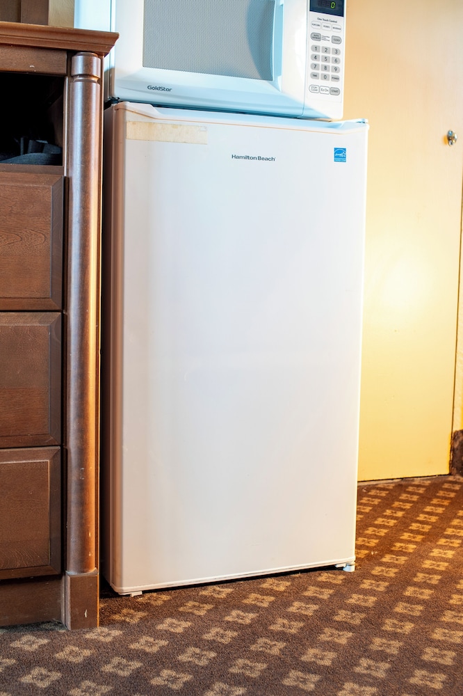 Mini-refrigerator