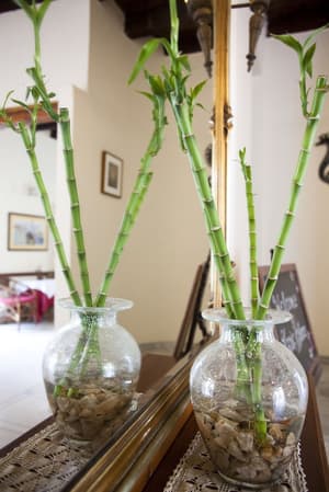 thumbnail: Interior detail