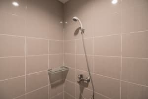 thumbnail: Bathroom shower