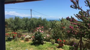 thumbnail: Garden
