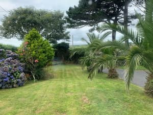 thumbnail: Garden