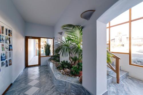 407814474.jpg