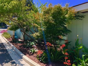 thumbnail: Exterior
