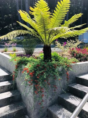 thumbnail: Garden