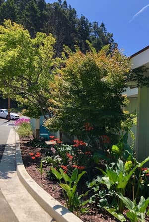 thumbnail: Garden