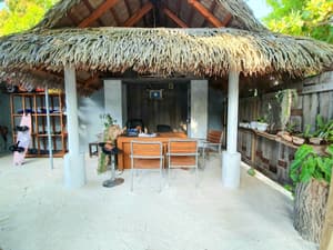 thumbnail: Reception