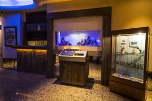 thumbnail: Interior entrance