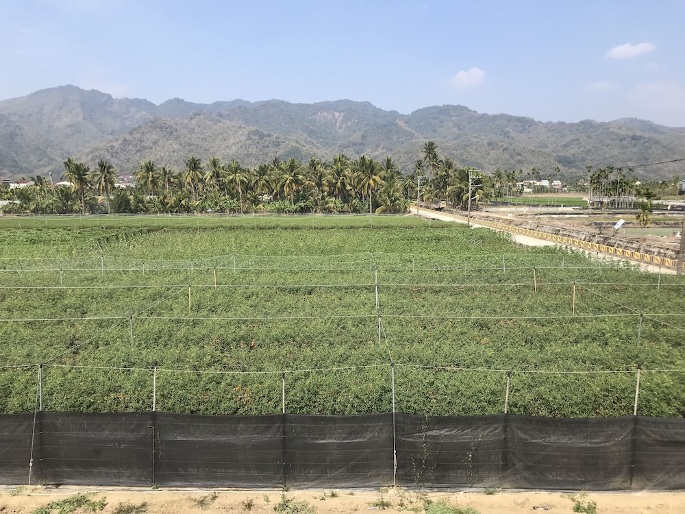 Land view from property
