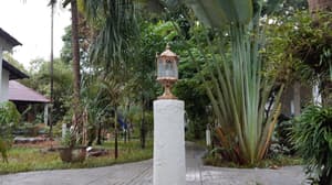 thumbnail: Garden