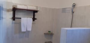 thumbnail: Bathroom shower