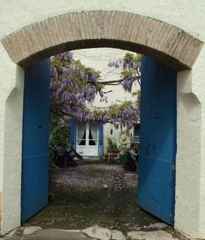 thumbnail: General view