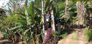 thumbnail: Garden