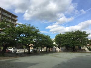 thumbnail: Exterior