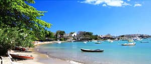 thumbnail: General view