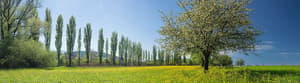 thumbnail: Ecotours