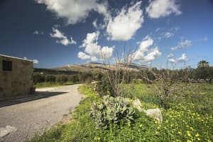 thumbnail: Mountain view