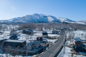 thumbnail: Aerial view