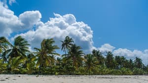 thumbnail: Beach
