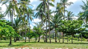 thumbnail: Property grounds