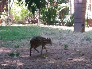 thumbnail: Property grounds