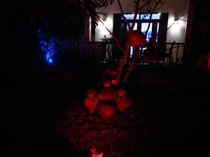 thumbnail: Property grounds