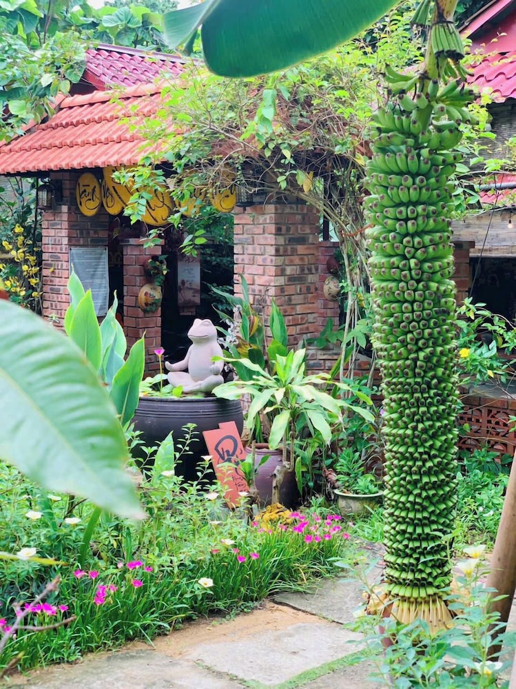 Courtyard view