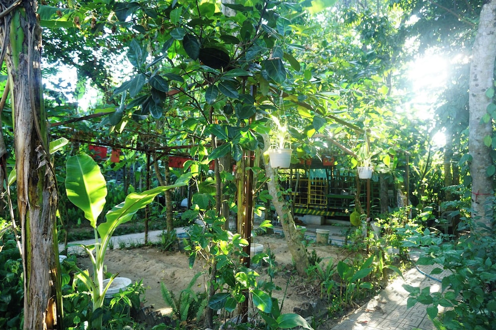 Courtyard view