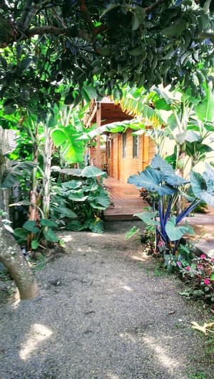 Cabanas Te Maori